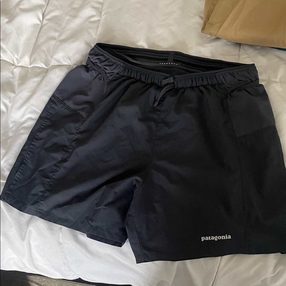 Patagonia Men's Gray/Blue Shorts